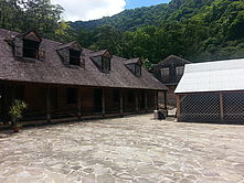Griveliere