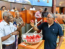 Tirage Coupe de Football Region Guadeloupe