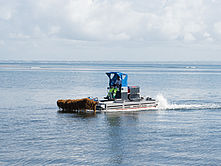 Operation d'enlevement des sargasses à Sainte-Marie