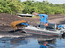 Operation d'enlevement des sargasses à Sainte-Marie