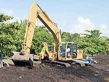 Operation d'enlevement des sargasses à Sainte-Marie
