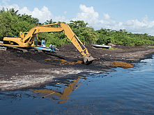 Operation d'enlevement des sargasses à Sainte-Marie