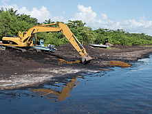 Operation d'enlevement des sargasses à Sainte-Marie
