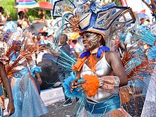 Carnaval mardi gras 2015