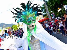 Carnaval mardi gras 2015