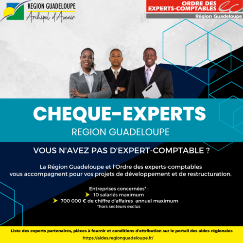 Région Guadeloupe-CHÈQUE-EXPERTS RÉGION GUADELOUPE