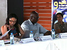 Session thematique L emploi dans les RUP