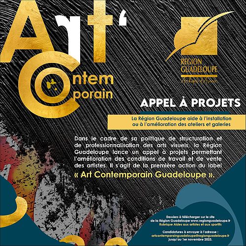 Région Guadeloupe-Aide Régionale à l'installation ou à l'amélioration des ateliers/galeries