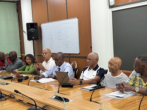 Région Guadeloupe-Évolution institutionnelle : la Région et le CESER présentent le rapport d'expertise sur les résolutions du Congrès