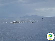 Mayotte