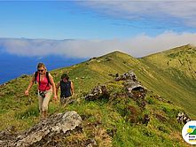 Acores