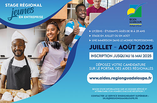 Région Guadeloupe-DEPOT DE DOSSIER : Stage Régional