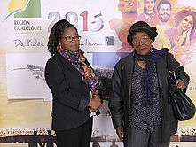 Voeux 2015  a la communaute antillaise de Paris